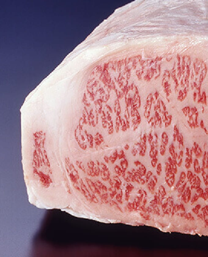 精 肉